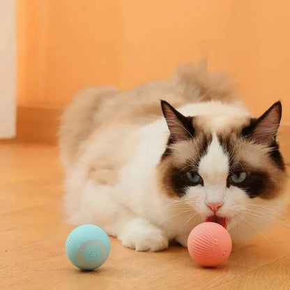 FlickBall™ - Self-Interactive Cat Toy Ball